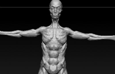 男人人体,外星人zbrush模型