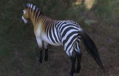 哈格曼马3dmax模型