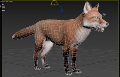 红狐狸 赤狐狸3dmax模型