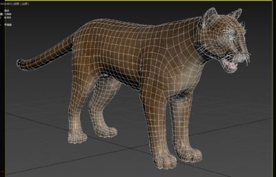 美洲狮3dmax模型