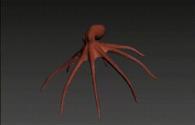 巨型深海章鱼 八爪鱼 有绑定动画