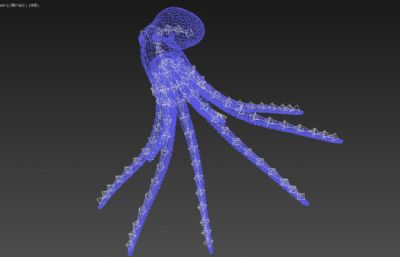 巨型深海章鱼 八爪鱼 有绑定动画