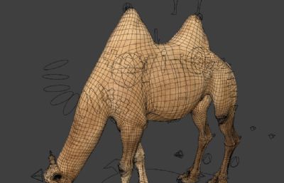 Blender模型-双峰骆驼 有绑定