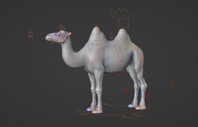 Blender模型-双峰骆驼 有绑定