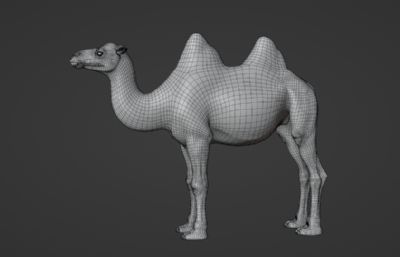 Blender模型-双峰骆驼 有绑定