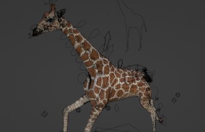 blender长颈鹿 有绑定 行走奔跑观望等动画