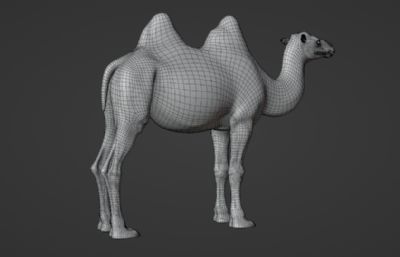Blender模型-双峰骆驼 有绑定