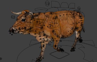 Blender模型- 黄牛  有绑定