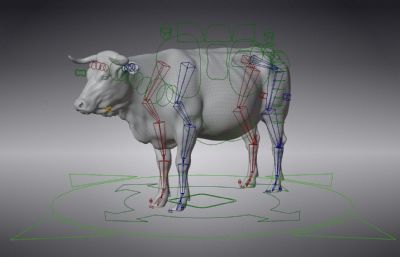 Blender模型- 黄牛  有绑定
