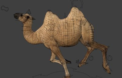 Blender模型-双峰骆驼 有绑定