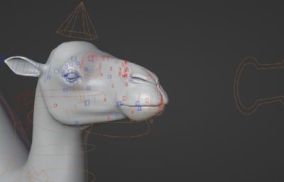 Blender模型-双峰骆驼 有绑定