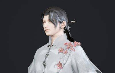 古代桃花坞岛主少主