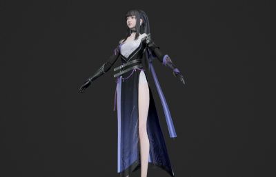 高挑女侠客 女大侠