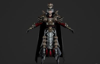 古代先锋大将军