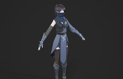 古装刺客 武侠美女