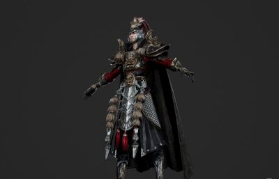 古代先锋大将军