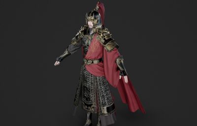 远征大将军 铠甲战士