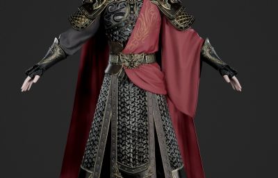 远征大将军 铠甲战士