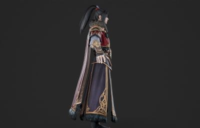 古代大将军 武侠大侠 侠客帅哥