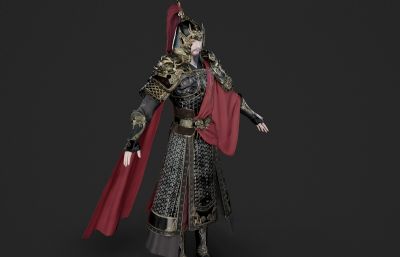远征大将军 铠甲战士