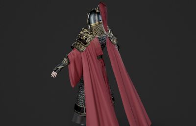 远征大将军 铠甲战士