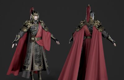 远征大将军 铠甲战士