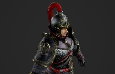 古代武将 壮汉 打手