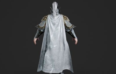 凯旋而归的将军 武将