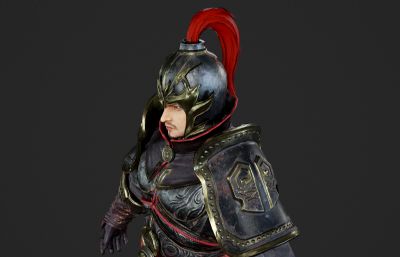 古代武将 壮汉 打手