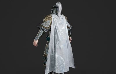 凯旋而归的将军 武将