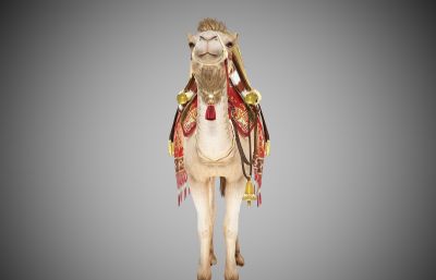 中国古代西域丝绸之路骆驼