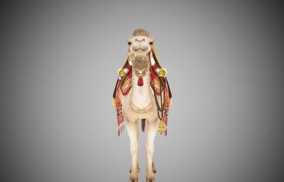 中国古代西域丝绸之路骆驼