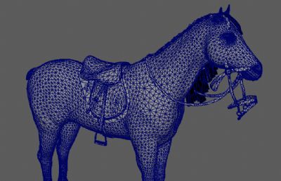 马模型 maya