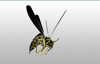 机械黄蜂仿生模型 微型昆虫无人机FBX,STP模型