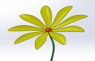 小黄花模型