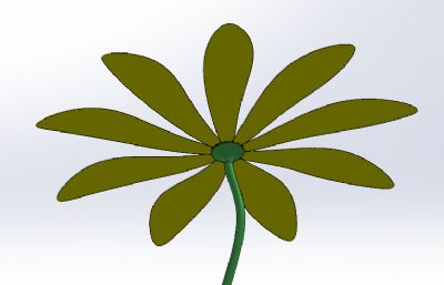 小黄花模型