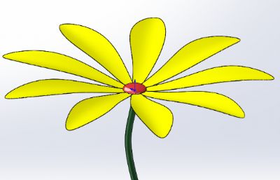 小黄花模型