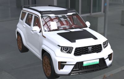 坦克700汽车 SUV带内饰