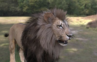 开普狮3dmax模型