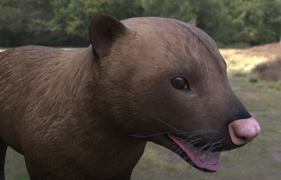 道森纹齿兽动物生物