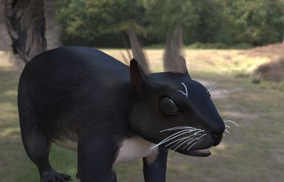 卡拉布里亚黑松鼠3dmax模型