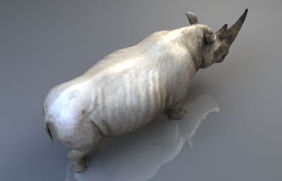 白犀牛,有绑定动画,4K贴图