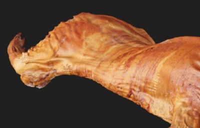 烤乳猪 猪肉 烤猪