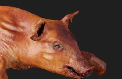 烤乳猪 猪肉 烤猪