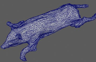 烤乳猪 猪肉 烤猪