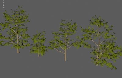 树木植物 园林树木合集塌陷模型