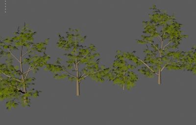 树木植物 园林树木合集塌陷模型