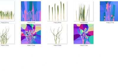 野草 低模草地 杂草低模