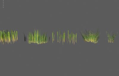 野草 低模草地 杂草低模