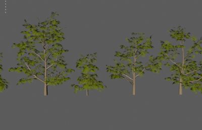树木植物 园林树木合集塌陷模型